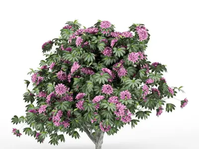 Rhododendron tree with flowers 3D model