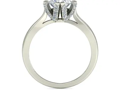 Women Ring  Render 3dm STL OBJ FBX Details 3D print model 200