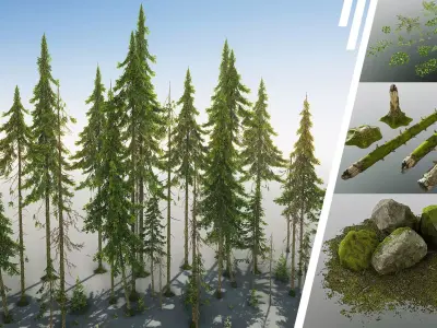 Northern Spruce Forest Low-poly 3D model