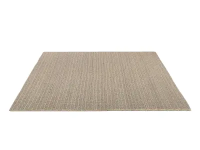 VAHAR JUTE RUG 3D model