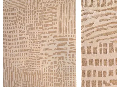 CARPET ELYN 200 X 300 3D model