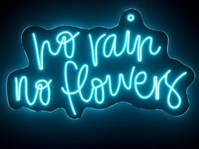 No Rain No Flowers Neon Sign 3D model