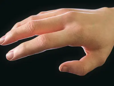  Realistic Human Hand - Rigged 