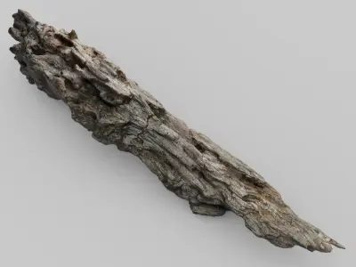 SCANNED BROKEN LOG Low-poly 3D model