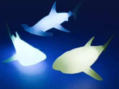 Shark Indirect Lighting 3D model