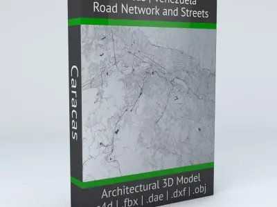 Caracas Road Network and Streets 3D model