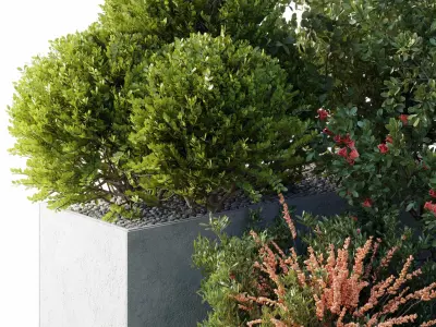 Garden Plants Flowers Box - Outdoor Plants 212 3D model