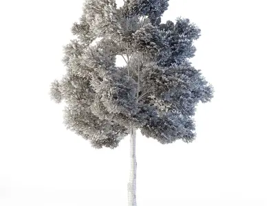 Small Leaved Lime Tree 460 cm Low-poly 3D model