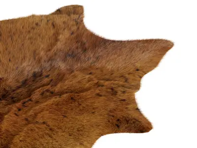 Animal skin rug 17 3D model