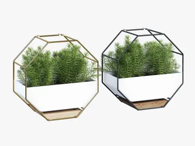 Ivolador octagonal planter with plants in it 3D model