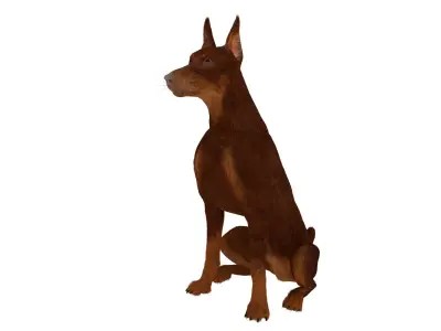  Doberman Dog Brown Sits Fur for Cinema 4D 