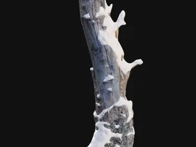 Tree stump in winter pack 01 3D model