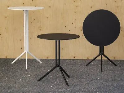 Poule Round 3D model