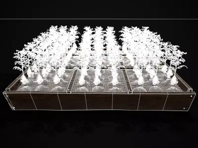 Square Planting Plot with Potatoes Low-poly 3D model