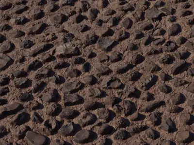 Cobblestone Set in Clay Texture