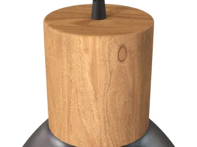 Elyona Industrial Pendant Light 3D model