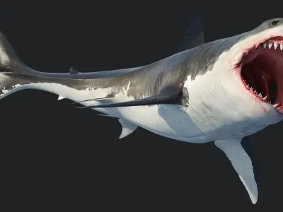  Great Shark White Rigged 