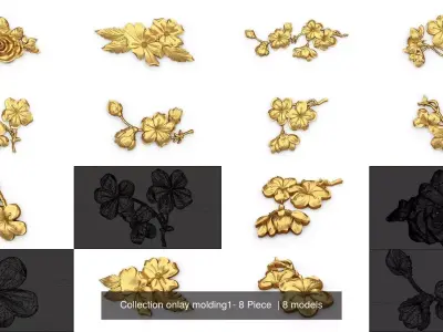 Collection onlay molding1- 8 Piece  3D Model Pack