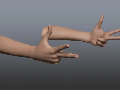  Rigged and Animated Hands (Female) 
