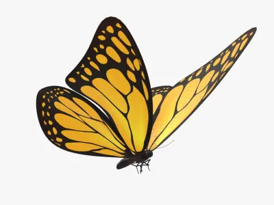  Butterfly with Flying Animation 