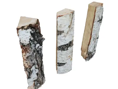 Ultra realistic  Firewood Scan  3D model
