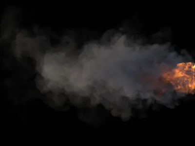 Blazing Fire VDB 3D model