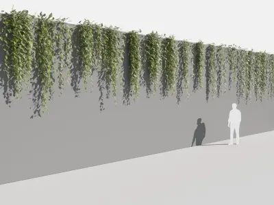  Epipremnum Aureum (+GrowFX) 