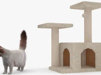 Fluffy Cat Standing on Cat Tree Tower Fur for Maya 