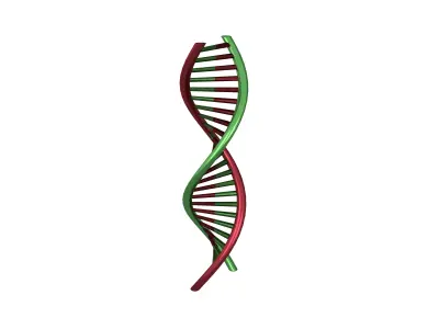 DNA Molecule v1 007 Low-poly 3D model