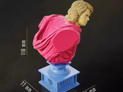 Anakin Bust I Star Wars 3D print model
