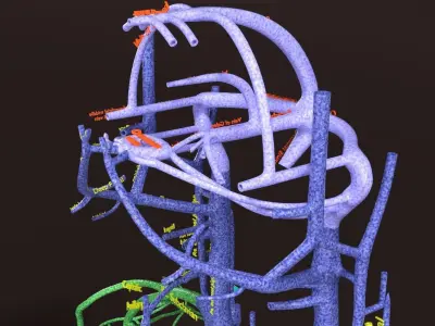 Human venous system schematic 3D 3D model