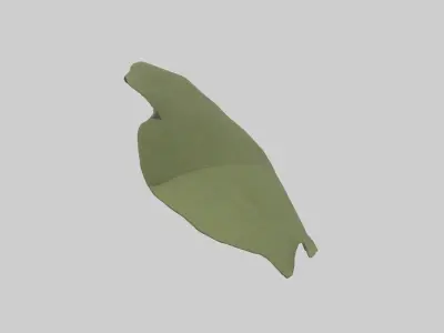 Leaf Model Low-poly 3D model purchase