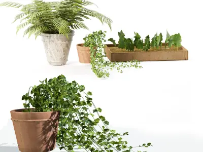 indoor and exterior pot plant trio 3d pack Low-poly 3D model