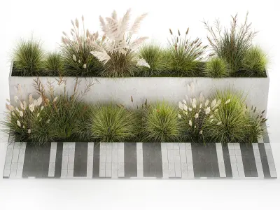 Bushes For Landscaping With Pampas Grass 1169 3D model