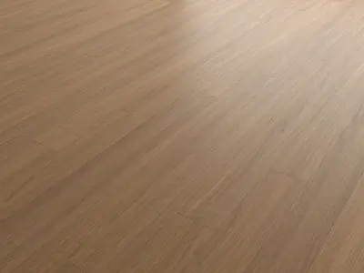 Ash wood floor and parquet Set 49 Texture