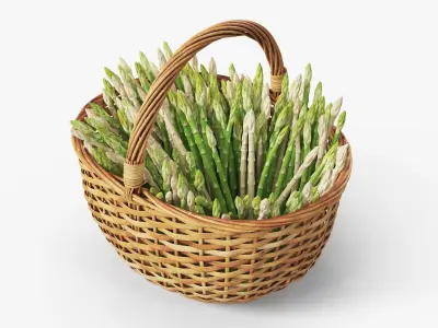  Asparagus Spears Big Collection 