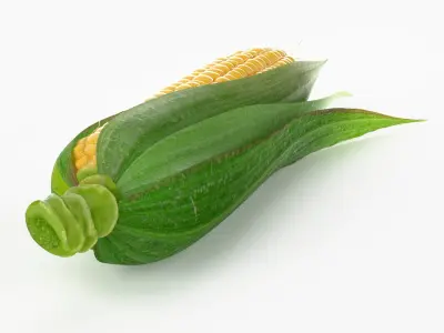  Realistic Corn 