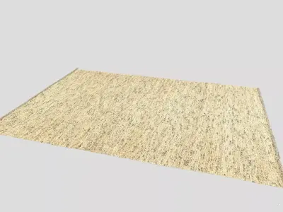 High-Precision Fabric Persian Rug 3D model 01 3D model