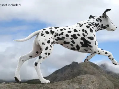  Dalmatian Dog Fur Rigged 
