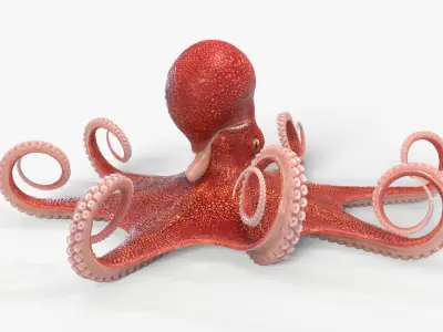  Octopus Animated Multicolor 