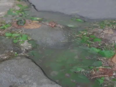 7 Ground-Soil set of concrete eggs 3D model