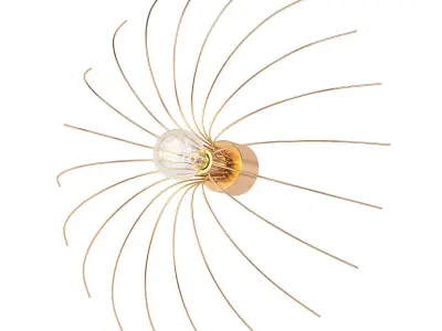 Spider Aromas 3D model