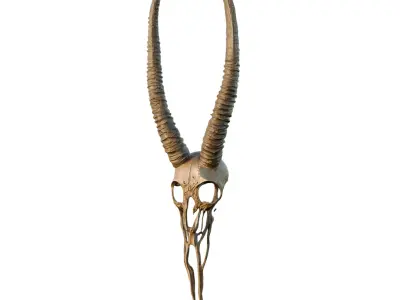 Big Horned wendigo head 3D model