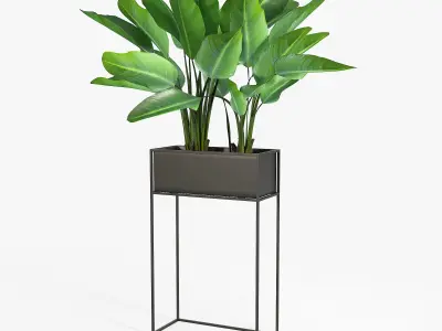 Three Black Standing Planters 3D model