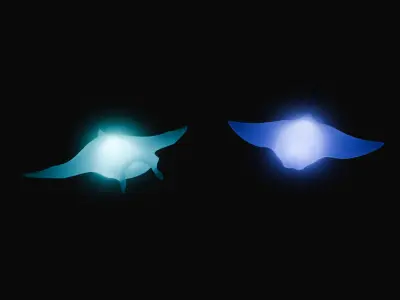 Indirect lighting of stingray and manta ray 3D model