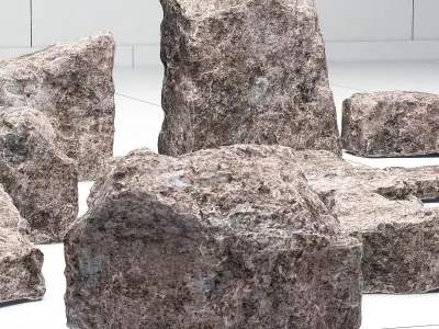 Stone chip plate 3D model