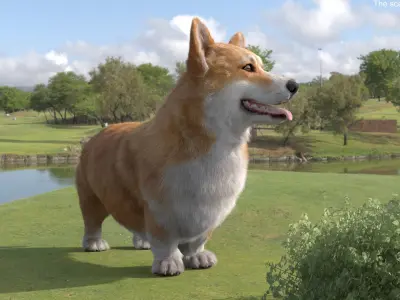  Pembroke Welsh Corgi Dog Standing Pose Fur for Cinema 4D 