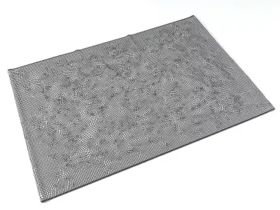 Agasta Short Pile Rug 3D model