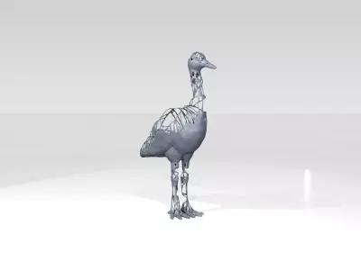 Crane Dust Voronoi 3D model