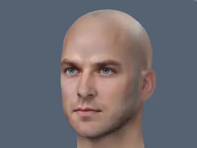 Male head Realistic Perfect Head  Low-poly 3D model